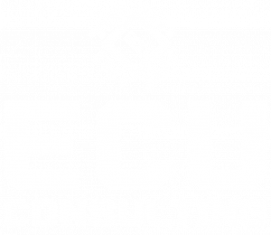 Logo Ecu Consulting